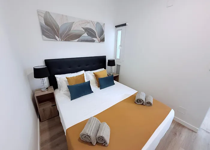 Daire Hdfm Collection - *